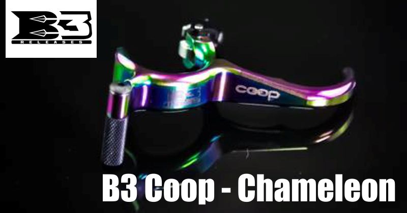 B3 Coop - Chameleon